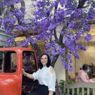 Mai - Tìm người để kết hôn - Gia Định, Hồ Chí Minh - Tìm đàn ông nghiêm túc