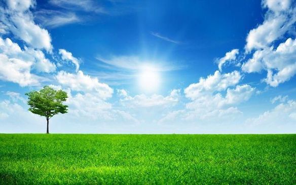 Bạn Nam Phạm Tài Độc thân 39 tuổi Tìm người yêu lâu dài ở Tân Châu, An Giang