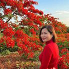 Thảo Anh - Tìm người để kết hôn - Sài Gòn, Hồ Chí Minh - Tìm người kết hôn